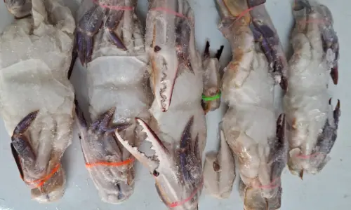 Crab_cut seafood