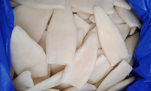 squid tube